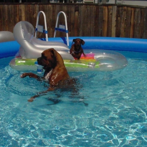 DAD!!!  George has the floaty thing again!!!!