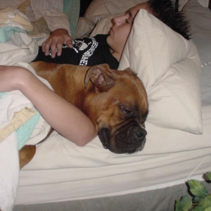 ZZzzzzzz,  ZZZZZzzzzz,