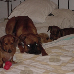 Dad, Are you comin to bed???