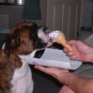 just give me that cone !