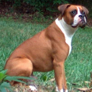 George