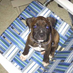 My Chair