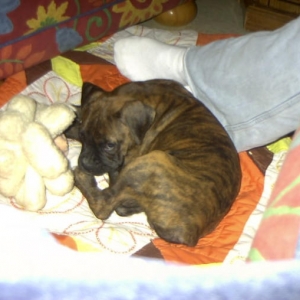 Rocky, So innocent