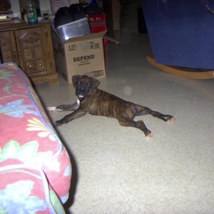 Getting Big