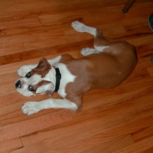 Just relaxing!