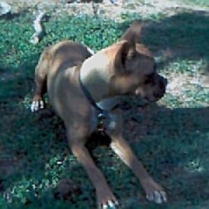 kiwi 7 months