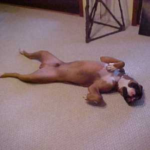 This is the life!!!