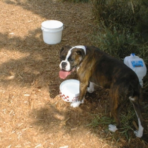 (Linda's) Bailey