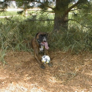 Diego cooling down in the shade