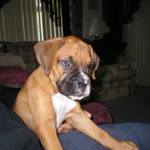 Orbit 9 weeks