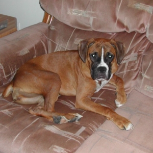 Lexi -8 months