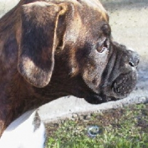 Look at that profile