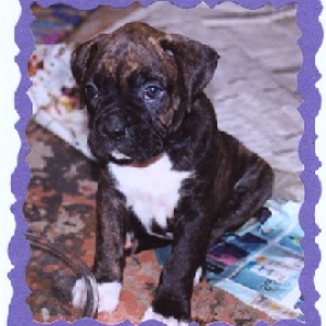 6 weeks  :-)
