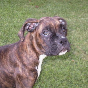 Are you going to throw that ball or what?