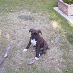 11 weeks today!