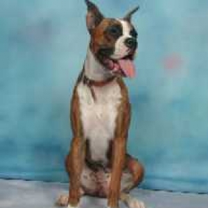 See my pretty profile and big tongue!