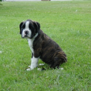 My 1st Picture