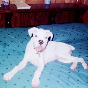 Yes, this is MY bed!