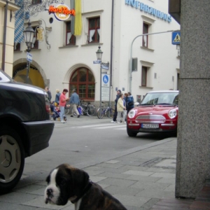 Harlan in Munich