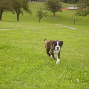 Here I Come!