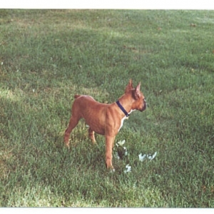 Was that a bird I heard