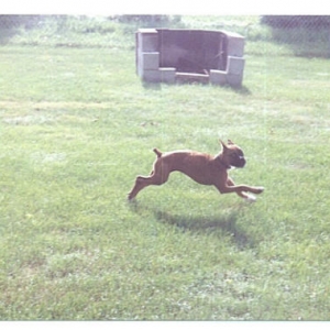 Just try to catch me with that stupid camera