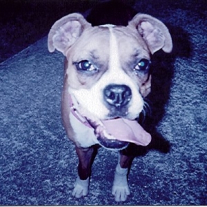 Lucy Girl