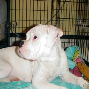 Oh Oh  - am I in trouble!!