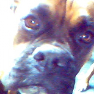 Hudsen