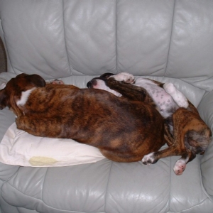 give us a cuddle