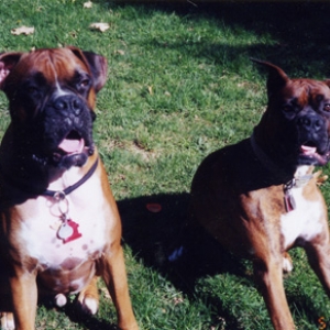 Chance and Cayenne