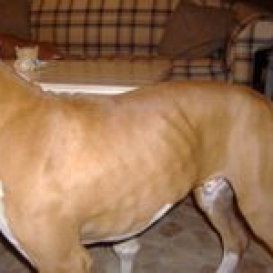 Does he look too skinny for 5 mo.?