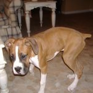 5 mo old...too skinny?
