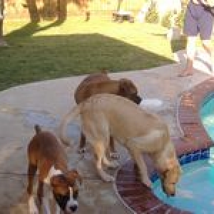 Play date with friends