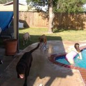 playing w/ friends poolside