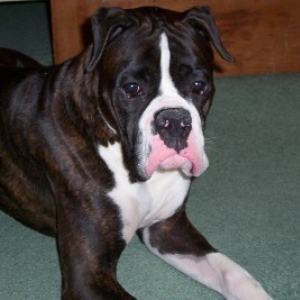Here is my handsome man!!