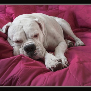 Lazy days