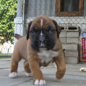 Introducing Layne!