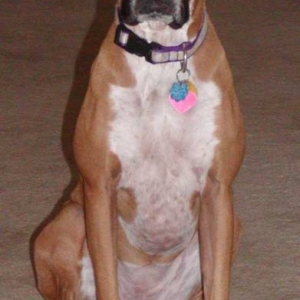 Roxy