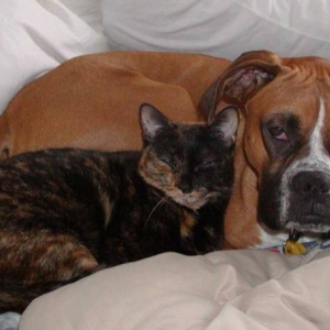 Roxy and Reese