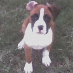 Maverick10_wks