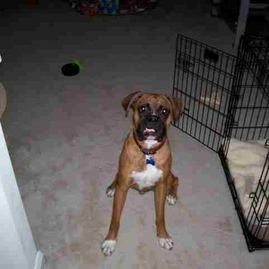 Muggsy