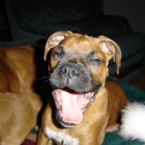 laughing jessie