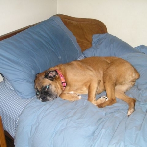 I think i found a very comfy spot here what do you think?