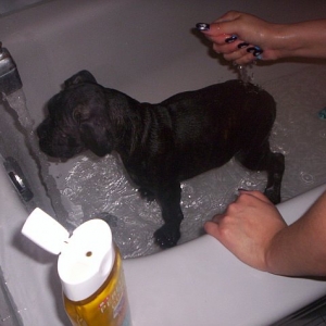 Bathtime!