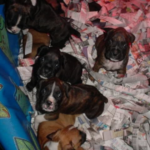 Here I am with my Brother& Sisters!