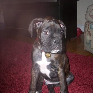 Cassius!