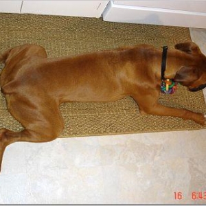 Froggy legs