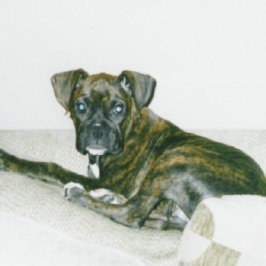 gunny_sofa