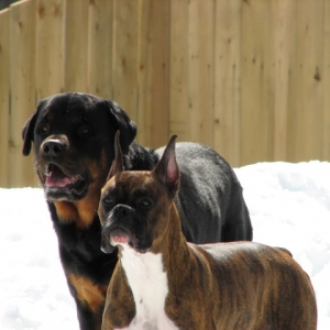 Kozaq & Kato